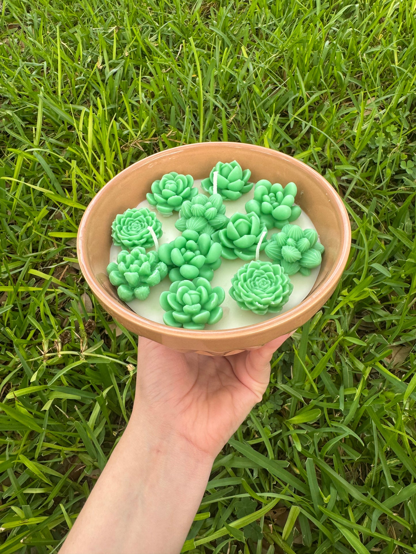 Succulent plant cactus candle
