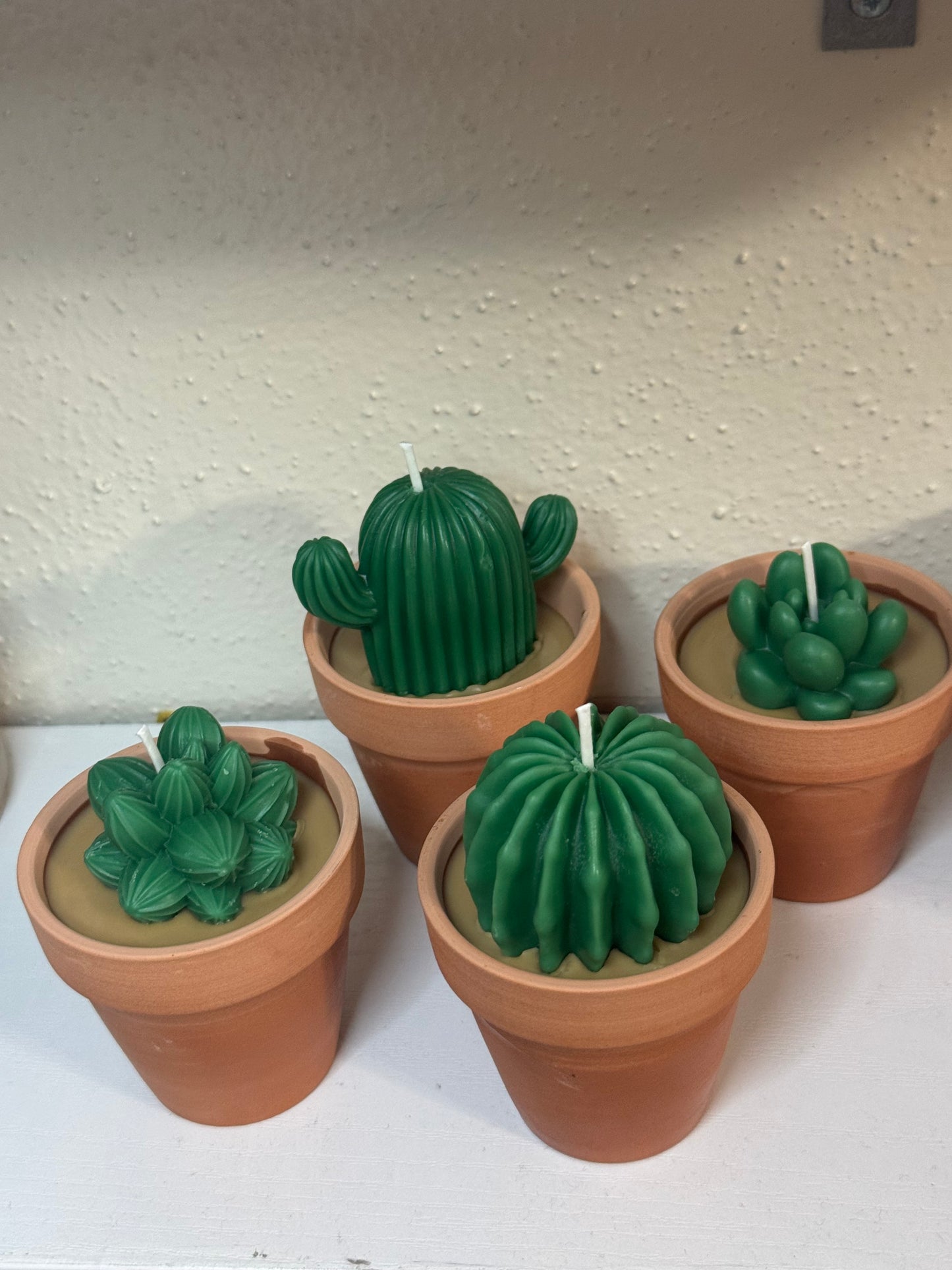 Plant candle