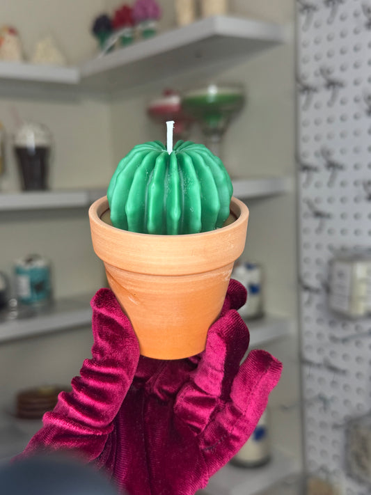 Plant candle