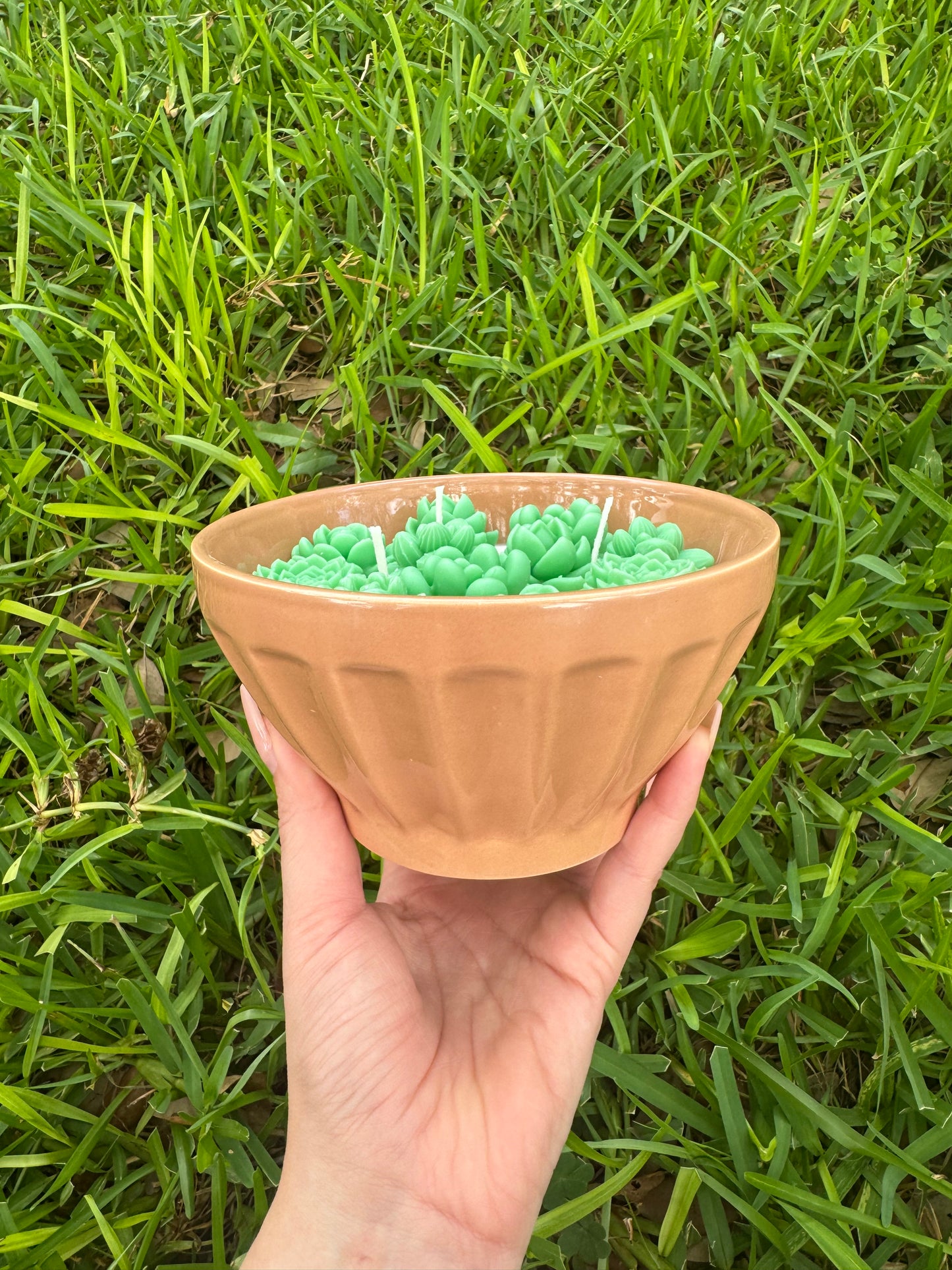 Succulent plant cactus candle
