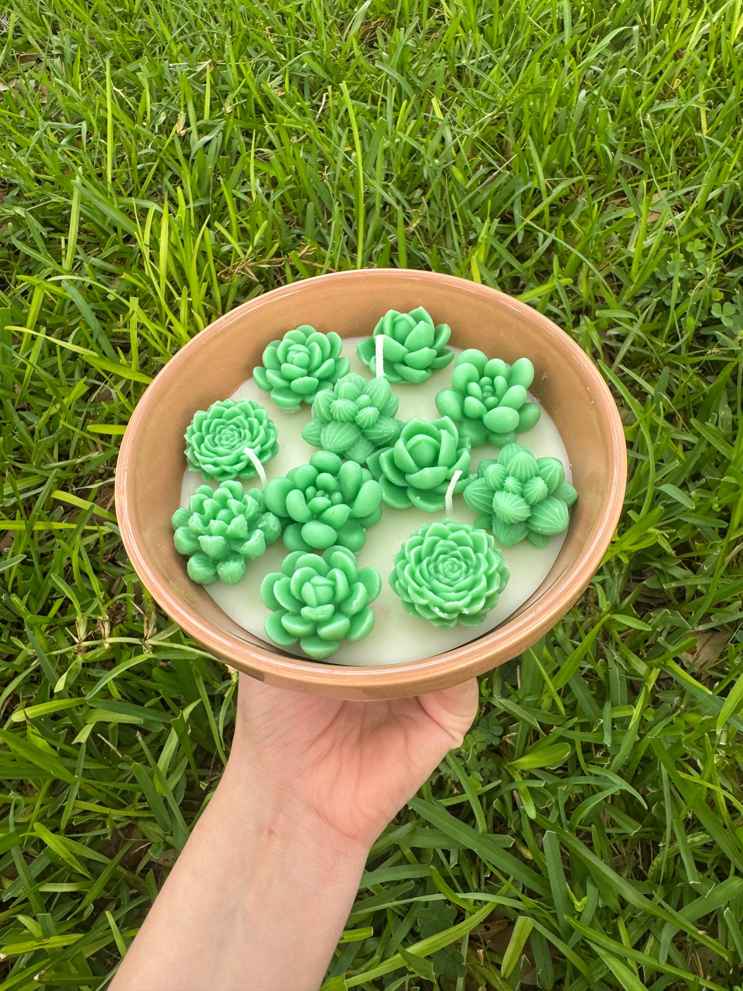 Succulent plant cactus candle