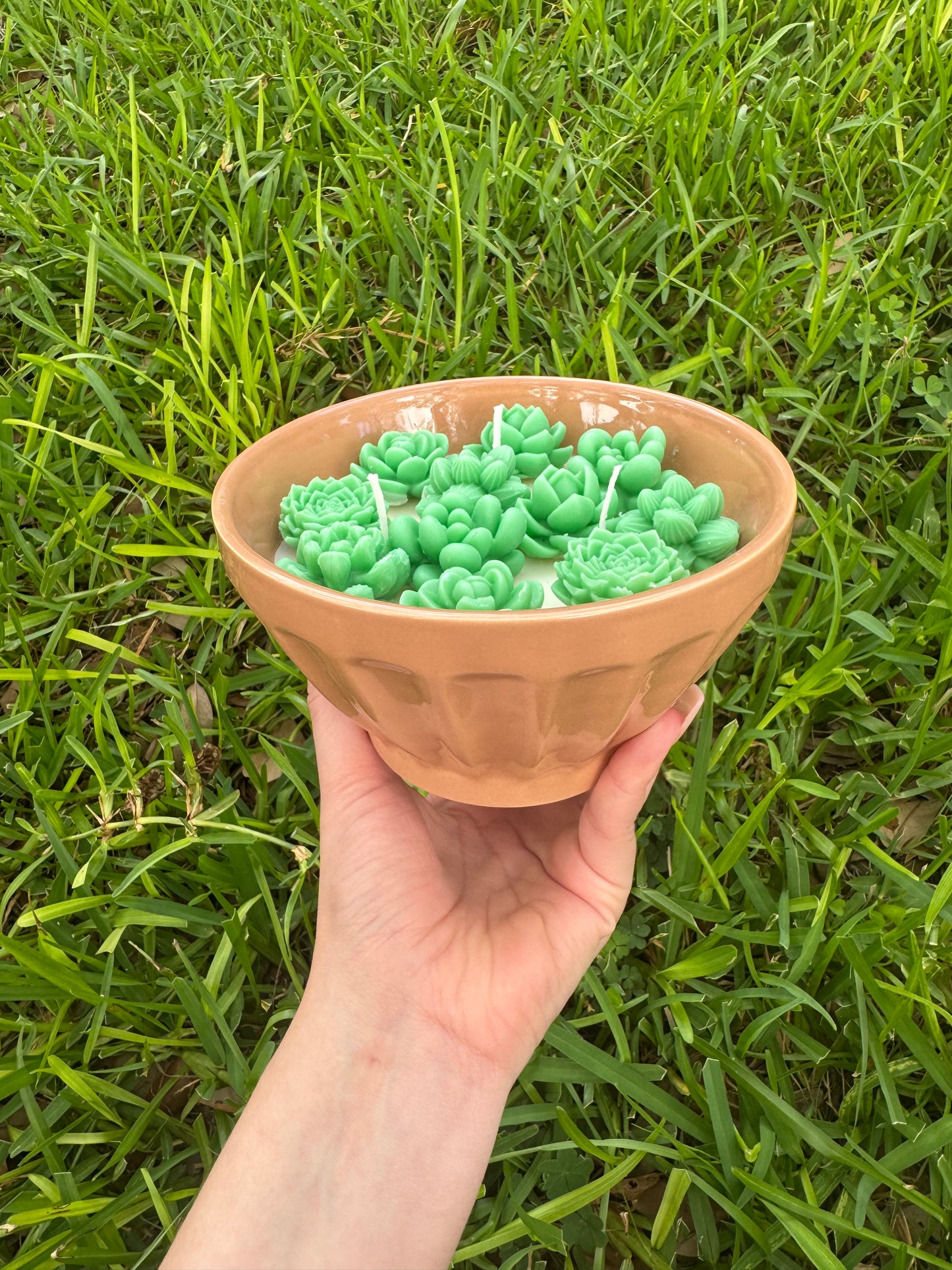 Succulent plant cactus candle