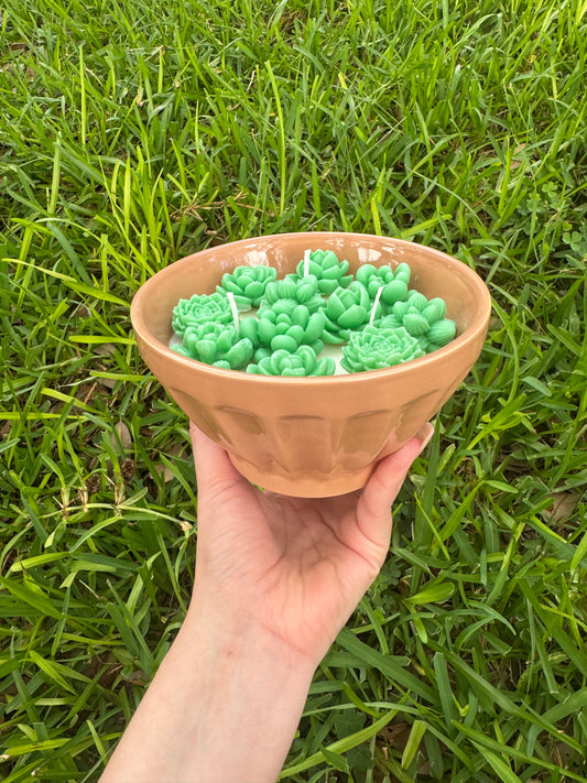 Succulent plant cactus candle