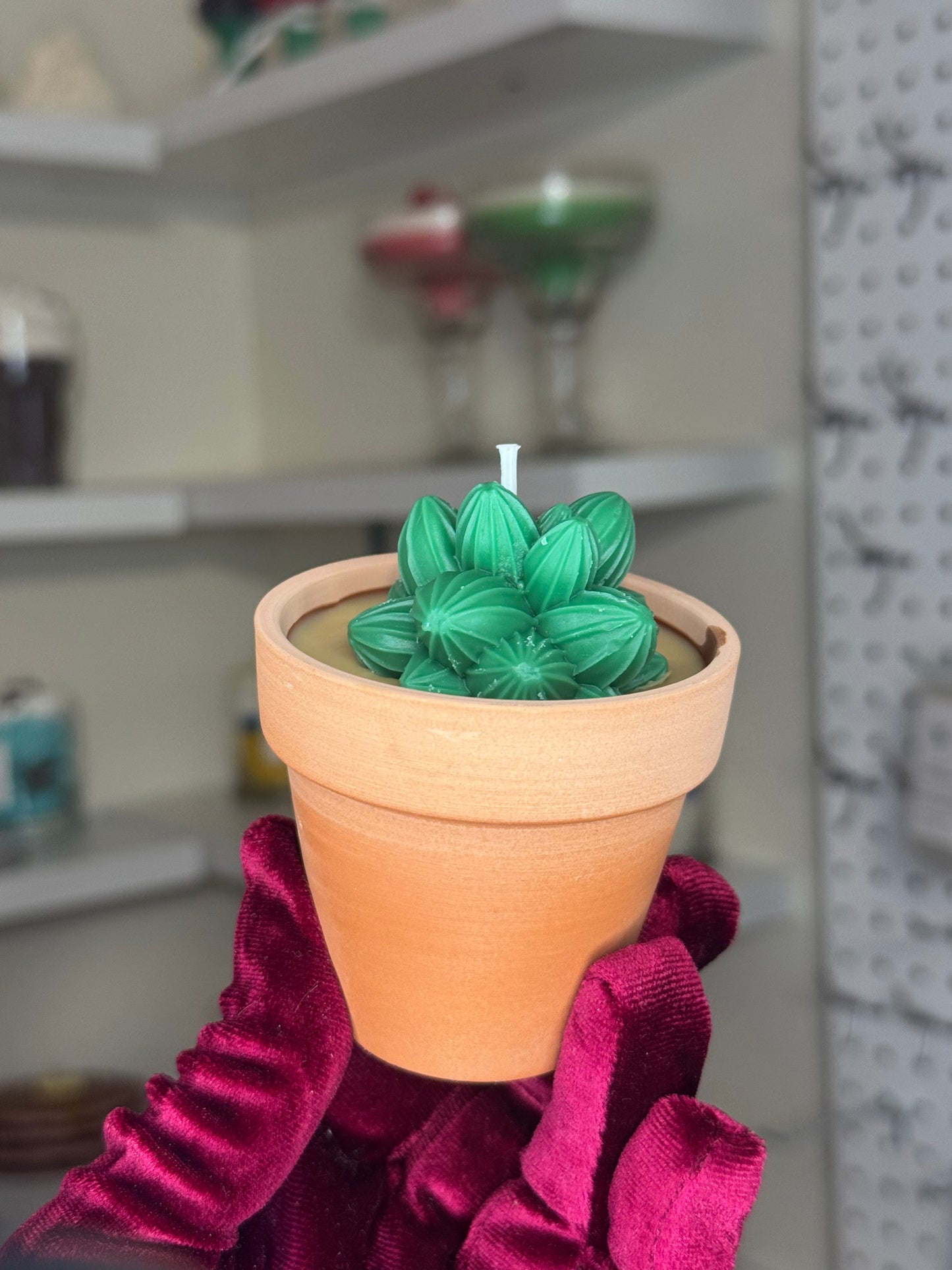 Plant candle