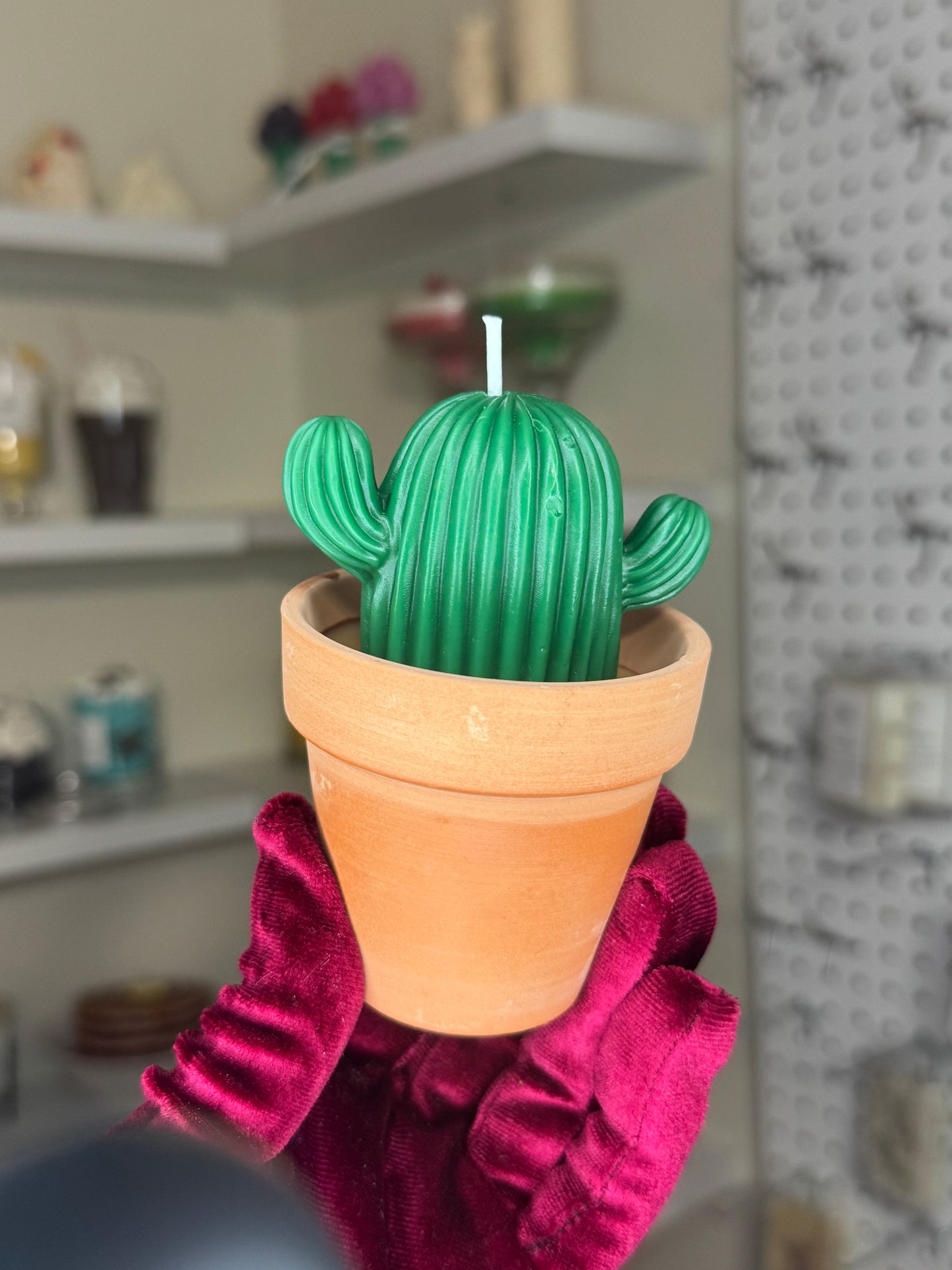 Plant candle