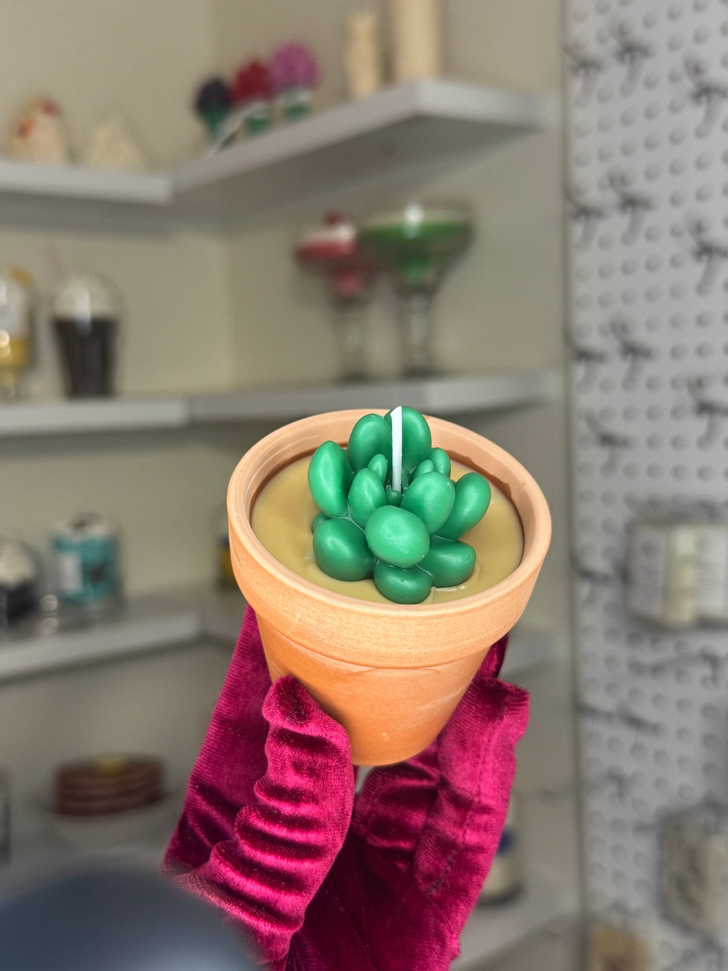 Plant candle
